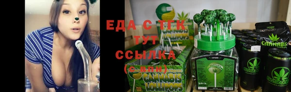 ешки Бородино