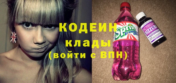 ешки Бородино