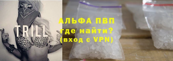 ешки Бородино