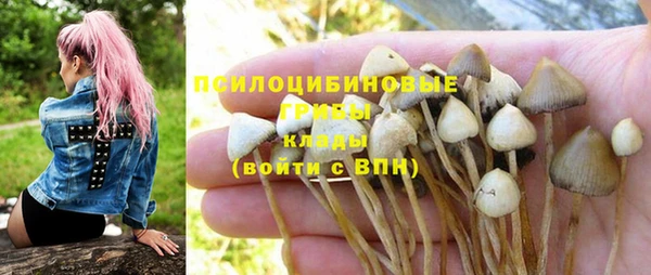 ешки Бородино