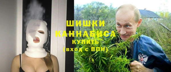 ешки Бородино
